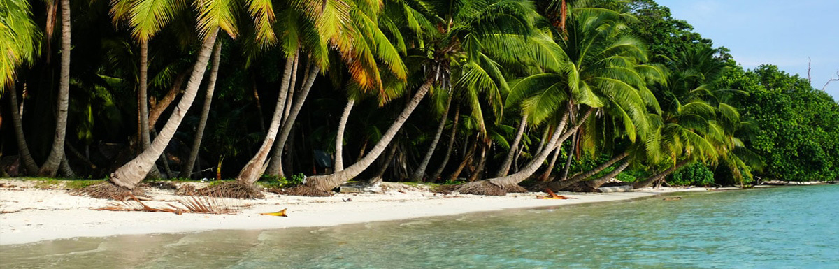 Description: Macintosh HD:munka:adventurfishing:weboldal_anyagok:fotók:Egyiptom:egyiptom_suger1.jpg